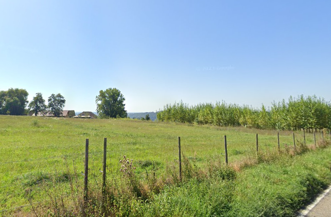 Biohof Szene